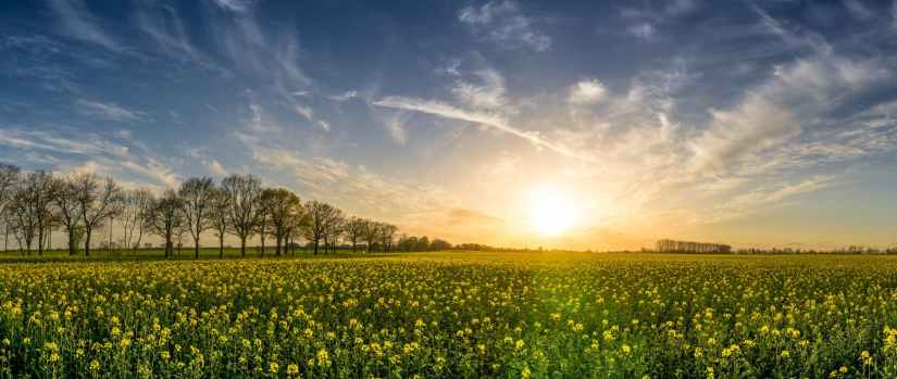 agriculture bloom blossom clouds